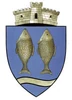 Coat of arms of Frecăței