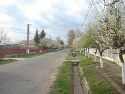 Main street in Podgoria