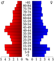 USA Renville County, Minnesota age pyramid