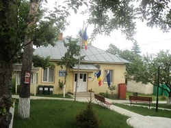 City hall of Vintileasca