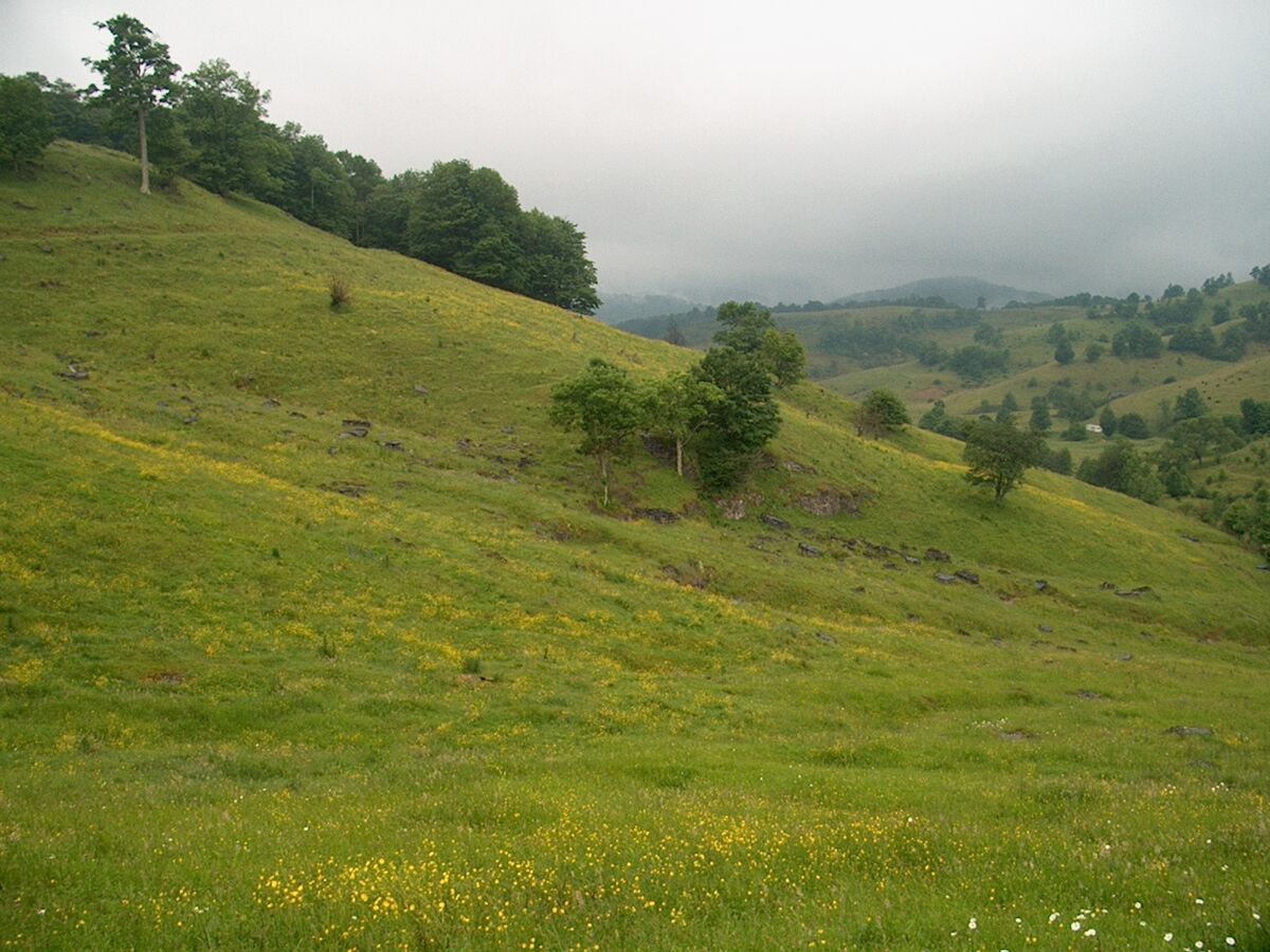 Randolph County, West Virginia | Familypedia | Fandom