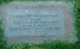 Ambcannon1967g.jpg