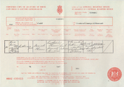 Catherine Elizabeth Finn (1864-1918) birth certificate