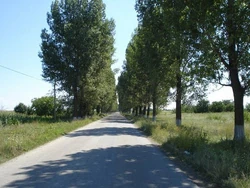 Road to Slobozia Ciorăști