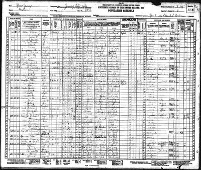 1930 census Norton Carr.jpg