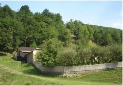 Farm house in Valea Milcovului