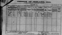 1901 census Carr Ireland