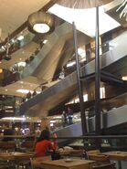 Inside BBI Center