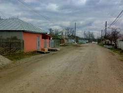 Street in Coasta Lupei