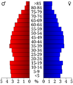 USA Boone County, Arkansas age pyramid