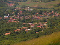 Treznea