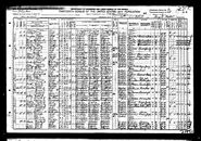 1910 US census