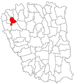 Location of Țepu in Galați County