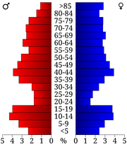 USA Big Stone County, Minnesota age pyramid