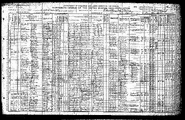 1910 census