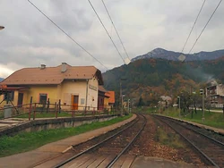 Stankovany Familypedia Fandom