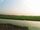 AlleppeyPaddyfields.JPG