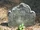 Joanna Strout (1693-1737)