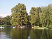 Nicolae Romanescu Park