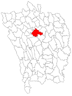 Location of Vaslui municipality in Vaslui County