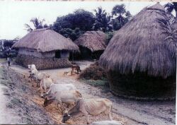 Birbhum Village