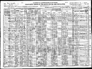 1920 US Census