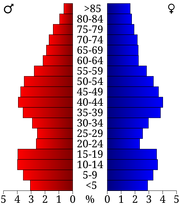 2000 census age pyramid for Henry County
