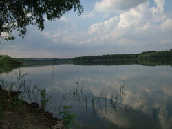 The Prut River near Rogojeni