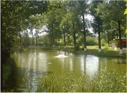 Recreational area in Tâmboești