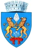Official logo of Ploiești