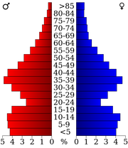 USA Wright County, Minnesota age pyramid