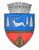 Coat of arms of Bacău