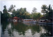 Backwaters in Alappuzha.