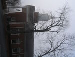 Rockdale-baptist-church-fog