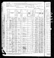 1880UnitedStatesFederalCensus 281596416