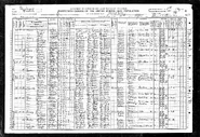 1910 census