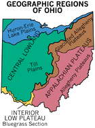 Cincinnati is in the bluegrass region of .