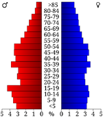 USA Nevada County, Arkansas age pyramid