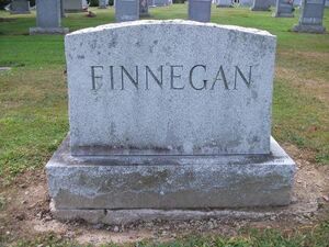 Finnegan2020a.jpg