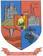 Sălaj County CoA in Communist Romania