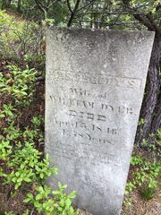 Peggydyer1868g.jpeg