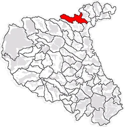 Location of Ruginești in Vaslui County