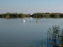 The Siret River in Nămoloasa