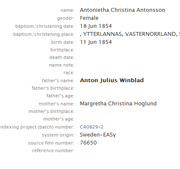 Winblad-Antoinette II 1854 birth.png