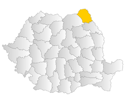 Botosani