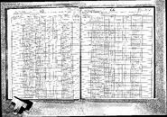 1925 New York Census