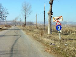 Exit from Săhăteni