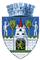Coat of arms of Satu Mare