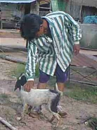 Bunchob