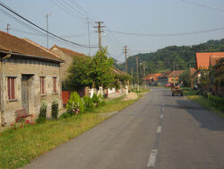 Main street of Criciova